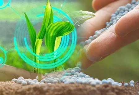 Opportunities for Agtech Innovation in Latin America